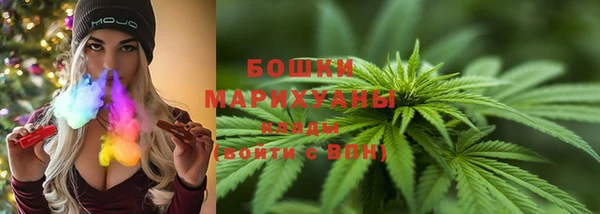 прущие грибы Остров