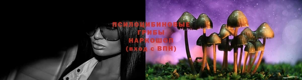 а пвп мука Осинники