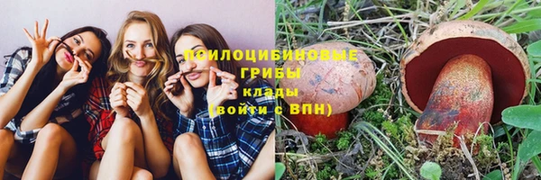 прущие грибы Остров