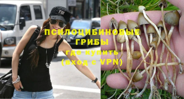 а пвп мука Осинники